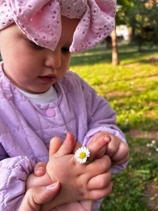 Čelenka mašlička Madeira, ROSA 2