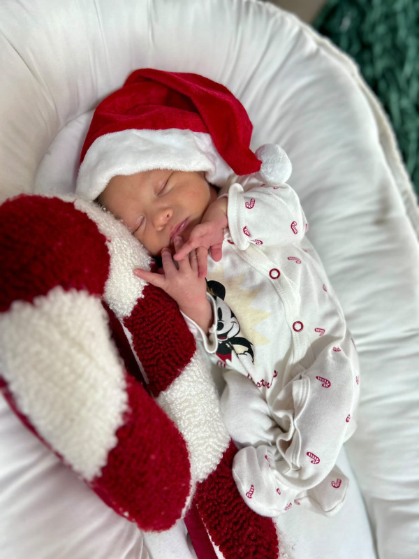 Hniezdo do postieľky Teddy SMOTANOVÁ 1